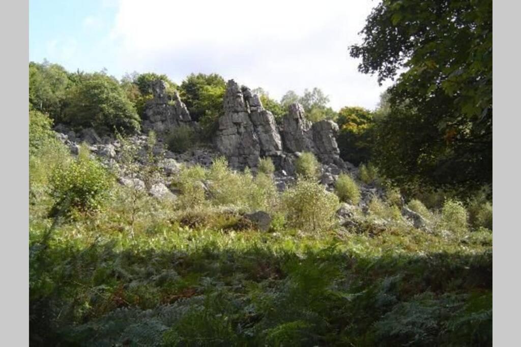 L'Echappee Verte Ambiance Nature Et Foret Villa Deville  Kültér fotó